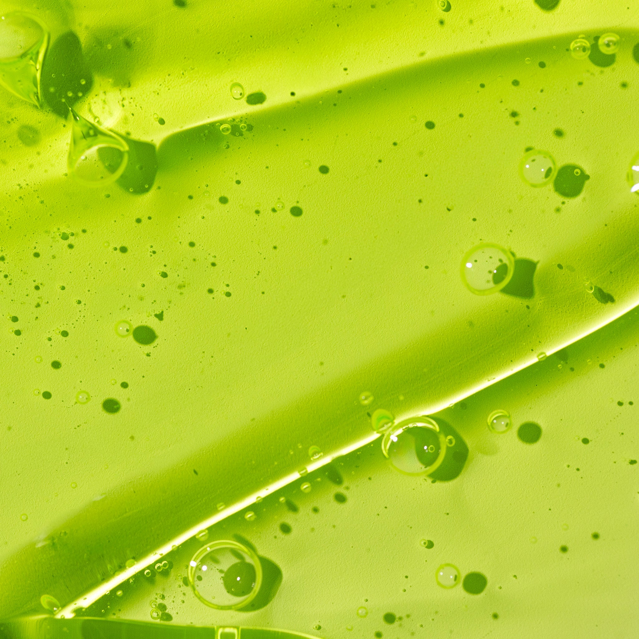 Tea Tree Skin Clearing Facial Wash - Image 2